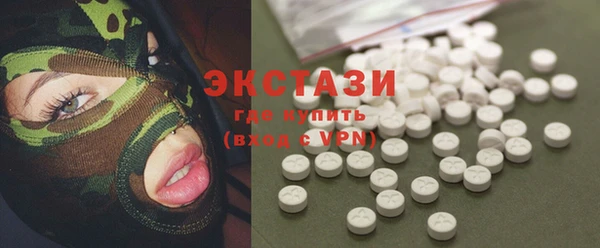 стаф Осинники