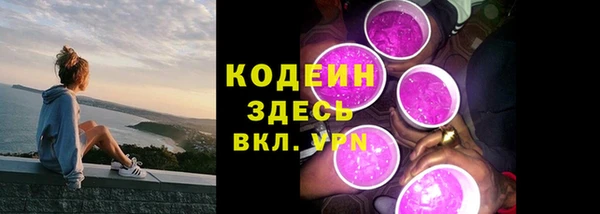 стаф Осинники