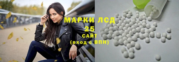 стаф Осинники