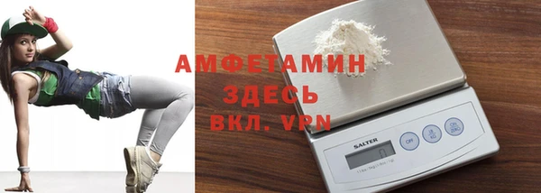 стаф Осинники