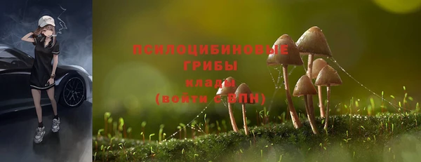 амфетамин Осташков
