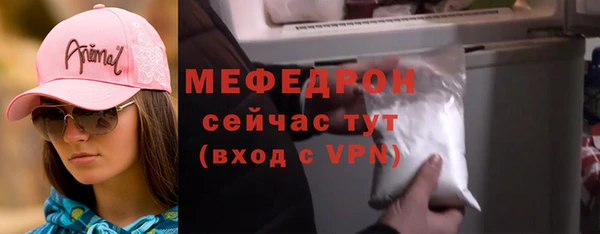 стаф Осинники
