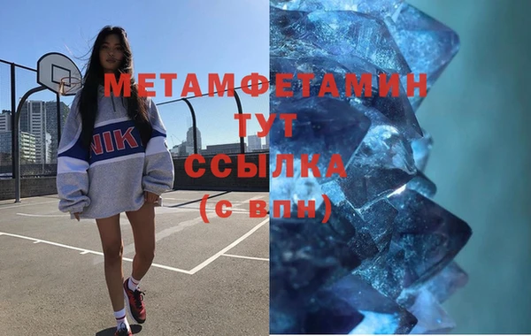 стаф Осинники