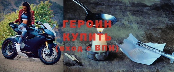 стаф Осинники