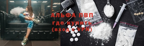 стаф Осинники