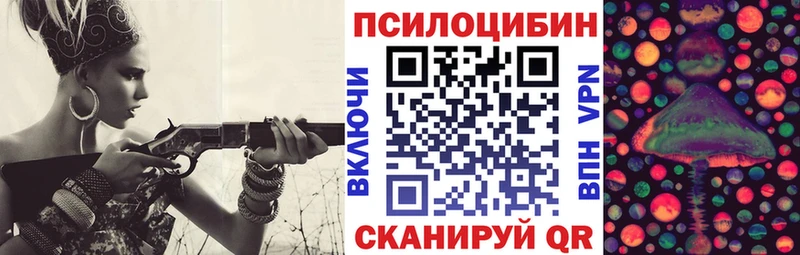 Купить где  Чердынь  Псилоцибиновые грибы Psilocybe 